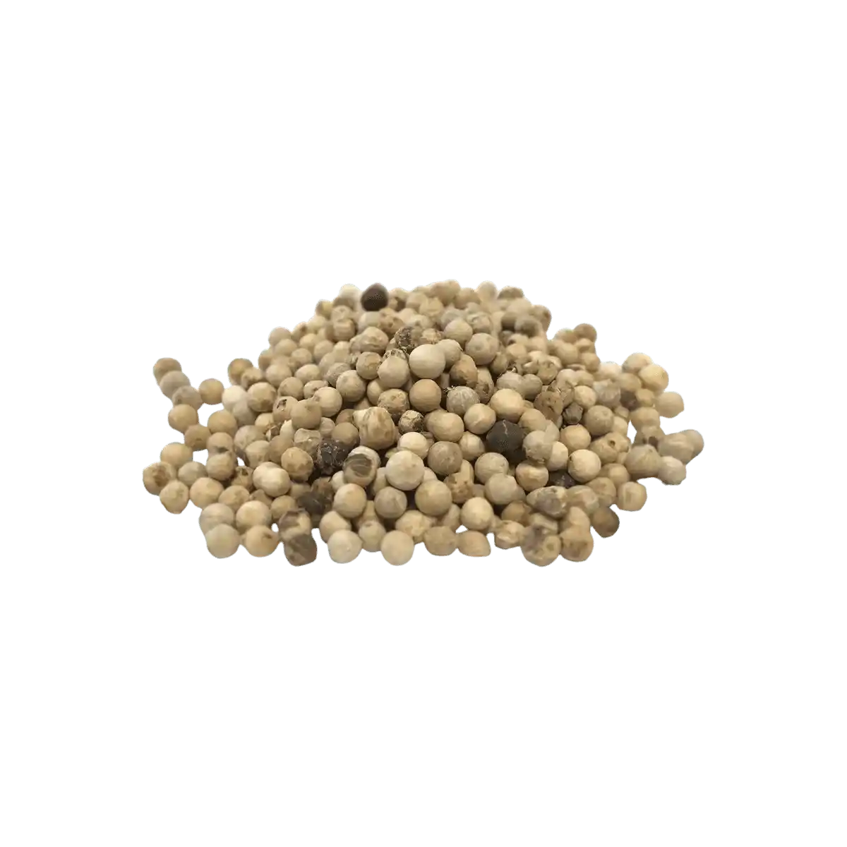 Grains de poivre blanc entier SAMIA en gros plan - Épice aromatique subtile et piquante pour plats salés.