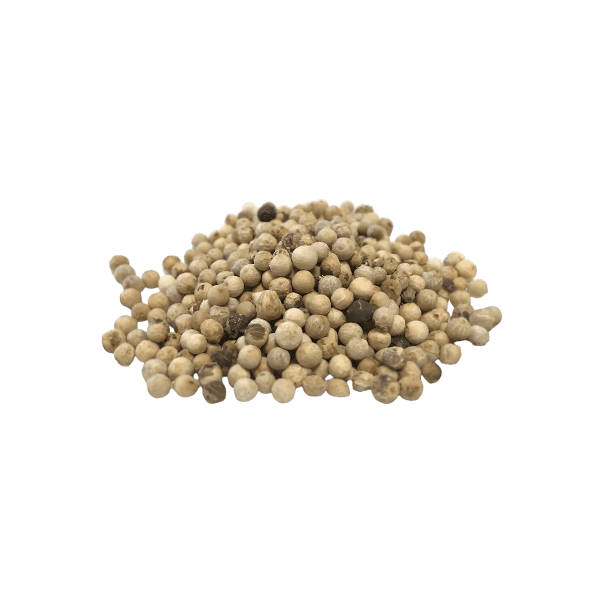 Grains de poivre blanc entier SAMIA en vrac, parfaits pour relever viandes, légumes et marinades. Épicerie salée de qualité chez NKOSI.