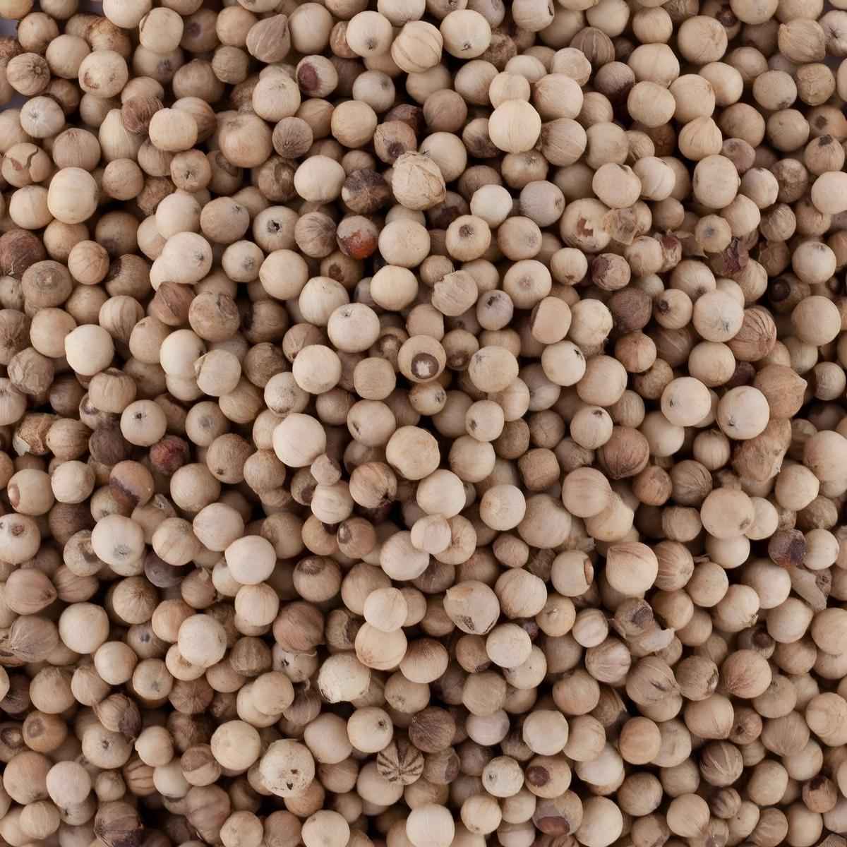Poivre de Penja blanc en grain