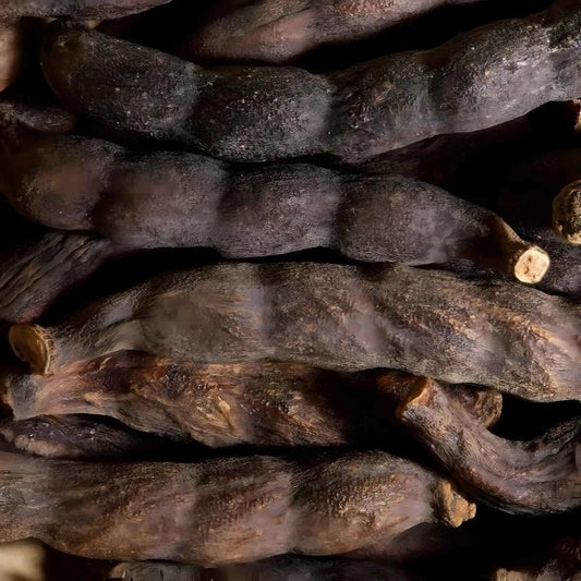 Gros plan sur les gousses de Poivre de Guinée séchées, texture rugueuse et arôme intense, parfait pour assaisonnement traditionnel africain.