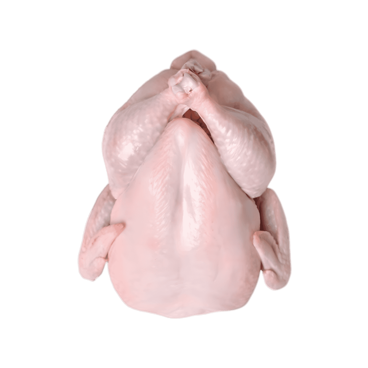 Poule halal DOUX entière, crue et surgelée, sans emballage, parfaite pour cuisson au four ou en sauce. Viande tendre et savoureuse - VOLAILLE - NKOSI.