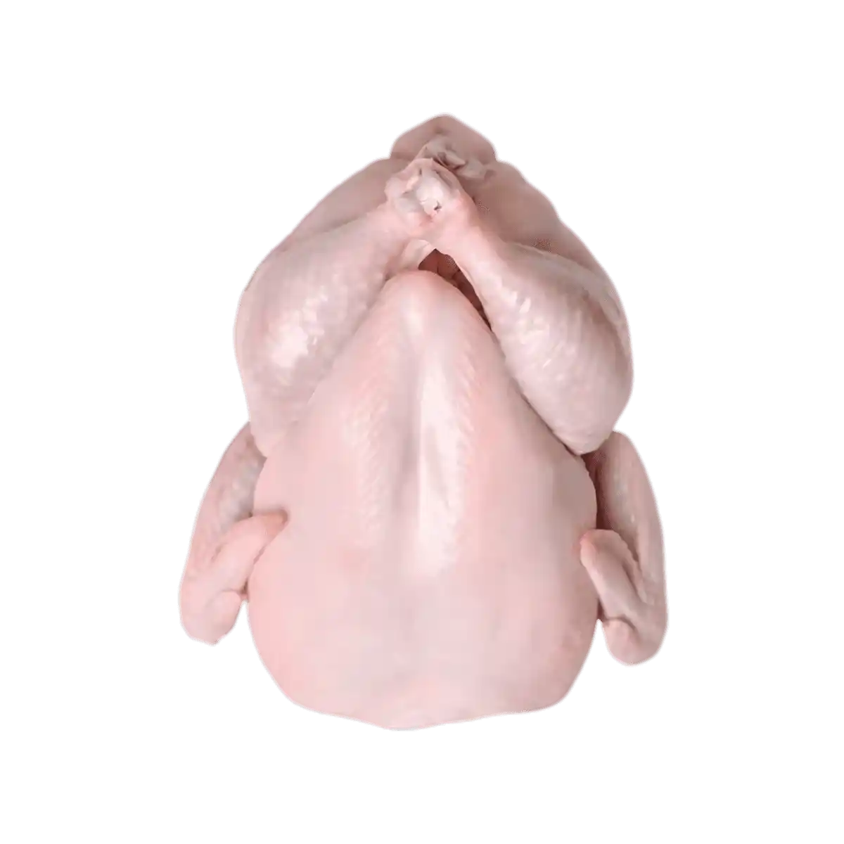 Poule Halal DOUX - Poule halal crue entière sans emballage, fraîche et prête à cuire, parfaite pour recettes de volaille maison.