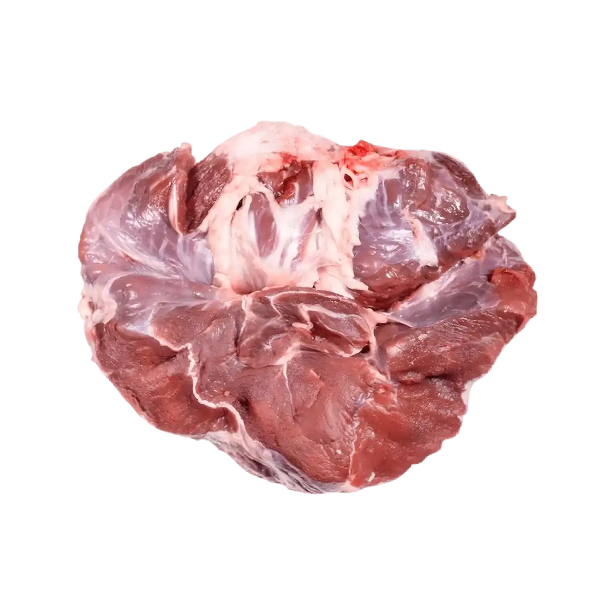 Queue de boeuf tranchée entière, viande savoureuse idéale pour plats mijotés. Texture riche, parfaite pour recettes traditionnelles.