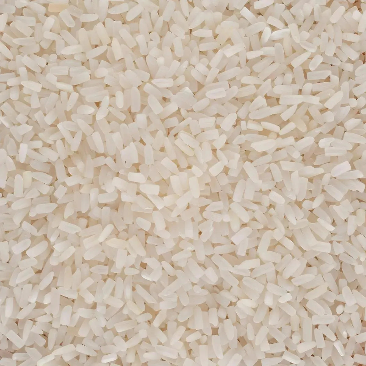 Gros plan sur les grains de riz jasmin cassé ORCHIDÉE, texture blanche et fine, parfaits pour une cuisson rapide et parfumée.