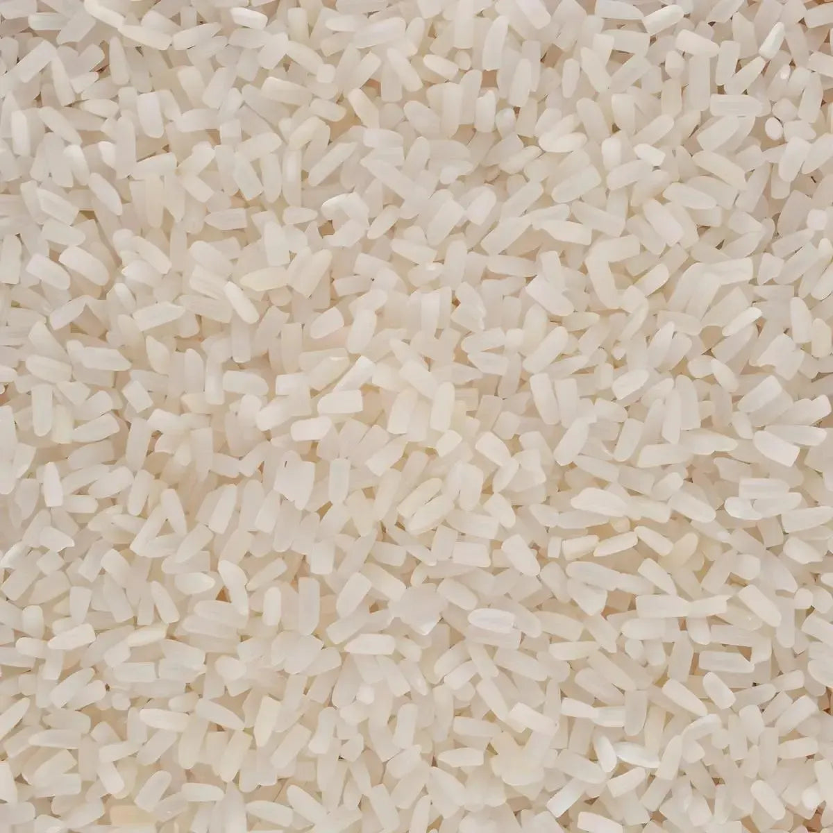 Gros plan sur grains de riz cassé trois fois TERSOL, texture ferme pour une absorption optimale des saveurs. Parfait pour cuisine africaine.