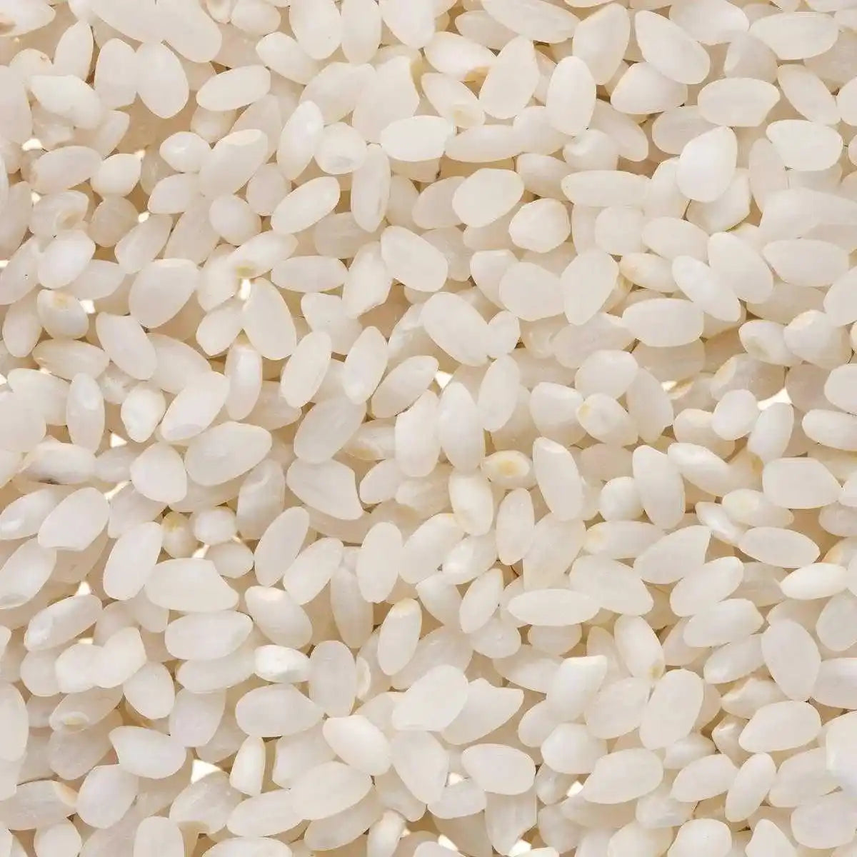 Gros plan sur les grains de Riz Rond Tendre TERSOL, texture uniforme et moelleuse. Idéal pour recettes variées en épicerie salée.