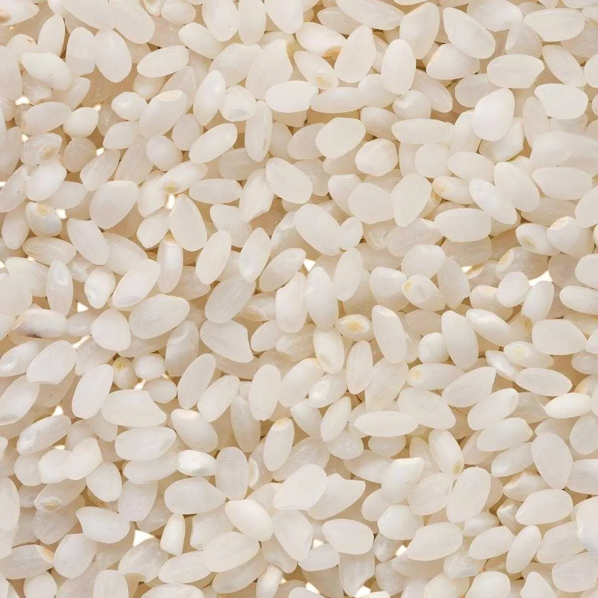 Gros plan sur les grains de Riz Rond Tendre TERSOL, texture moelleuse parfaite pour plats mijotés et recettes variées en épicerie salée.