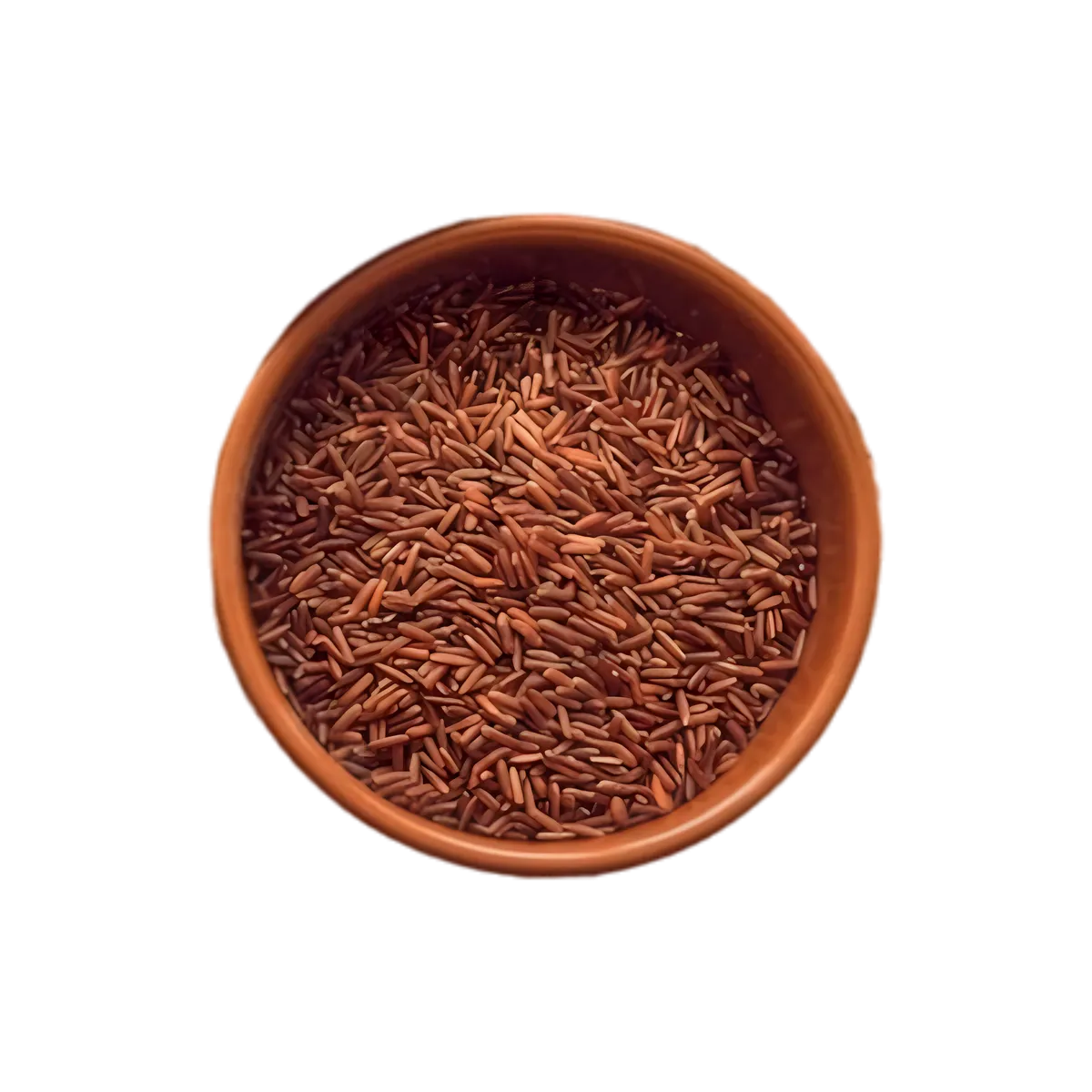Bol en terre cuite rempli de riz rouge TERSOL Bio, grains entiers à texture ferme, parfaits pour plats sains et savoureux.