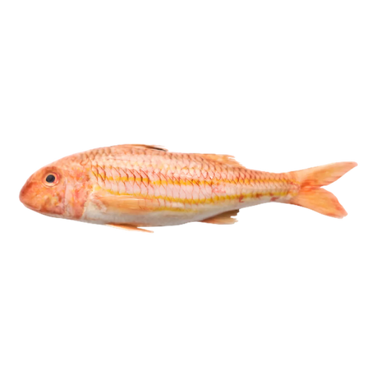 Rouget Barbet entier frais, poisson à chair tendre et savoureuse, idéal pour recettes de fruits de mer ou cuisson au four.