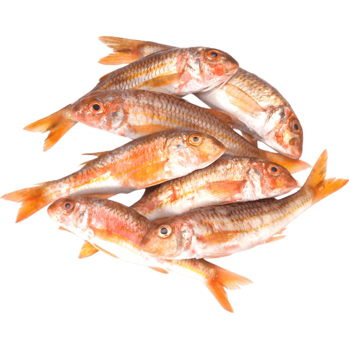 Lot de rougets entiers frais non fumés, poisson de mer à chair fine, parfait pour cuisson grillée ou au four - catégorie POISSON - NKOSI.