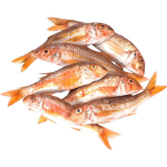 Lot de rougets entiers frais non fumés, poisson de mer à chair fine, parfait pour cuisson grillée ou au four - catégorie POISSON - NKOSI.