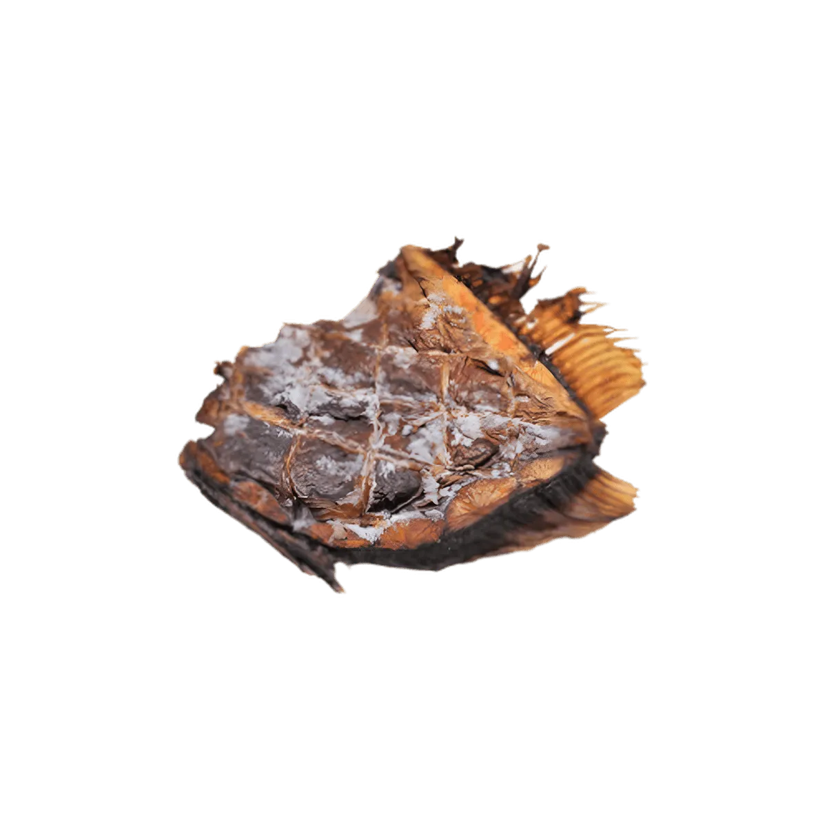 Saint pierre fumé - POISSON - NKOSI, morceau de poisson fumé à la chair brune, texture sèche et marquée par le processus de fumage naturel.