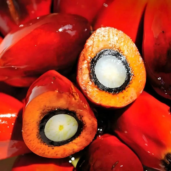 Sauce graine TROFAI vendue par lot, avec des fruits de palme rouges et coupés.

