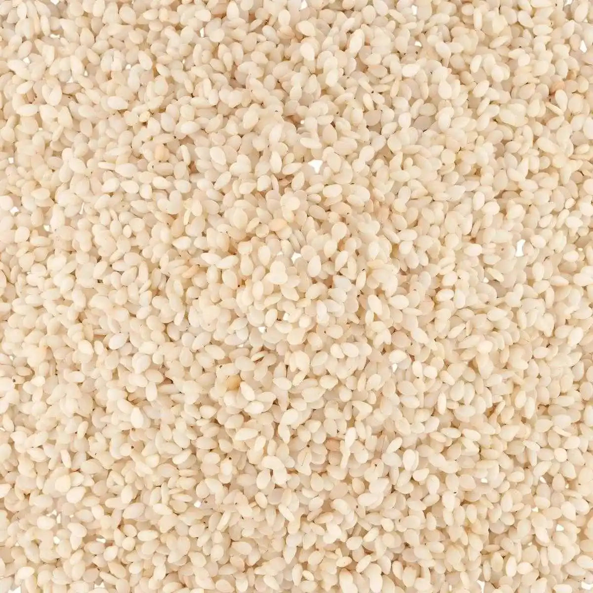 Zoom sur graines de sésame blanc SAMIA, texture fine et homogène. Ingrédient essentiel pour recettes équilibrées et riches en goût.