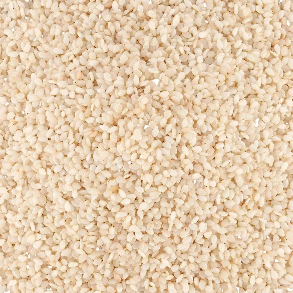 Gros plan sur graines de sésame blanc SAMIA, texture croquante et saveur douce, parfaites pour cuisine saine et équilibrée.