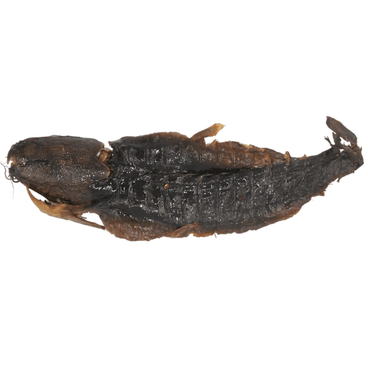 Silure ouvert fumé - POISSON - NKOSI, poisson fumé entier ouvert, à la texture ferme et goût intense, idéal pour plats traditionnels ou grillades.