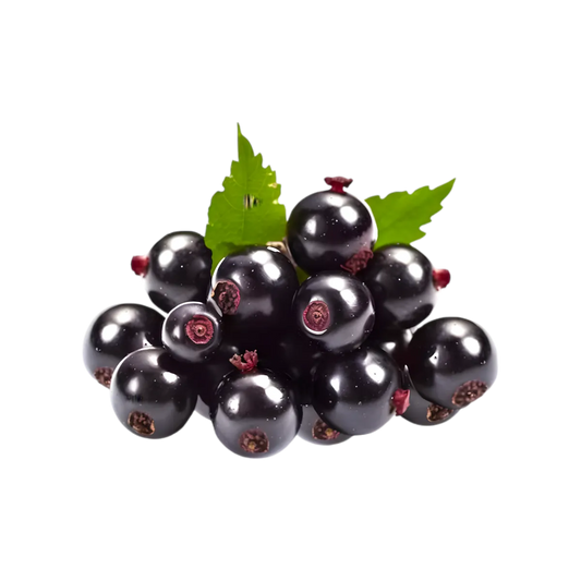 Grappe de cassis frais avec feuilles vertes, ingrédient principal du Soda Cassis Pétillant - ROYAL SODA, source de saveur naturelle et fruitée.