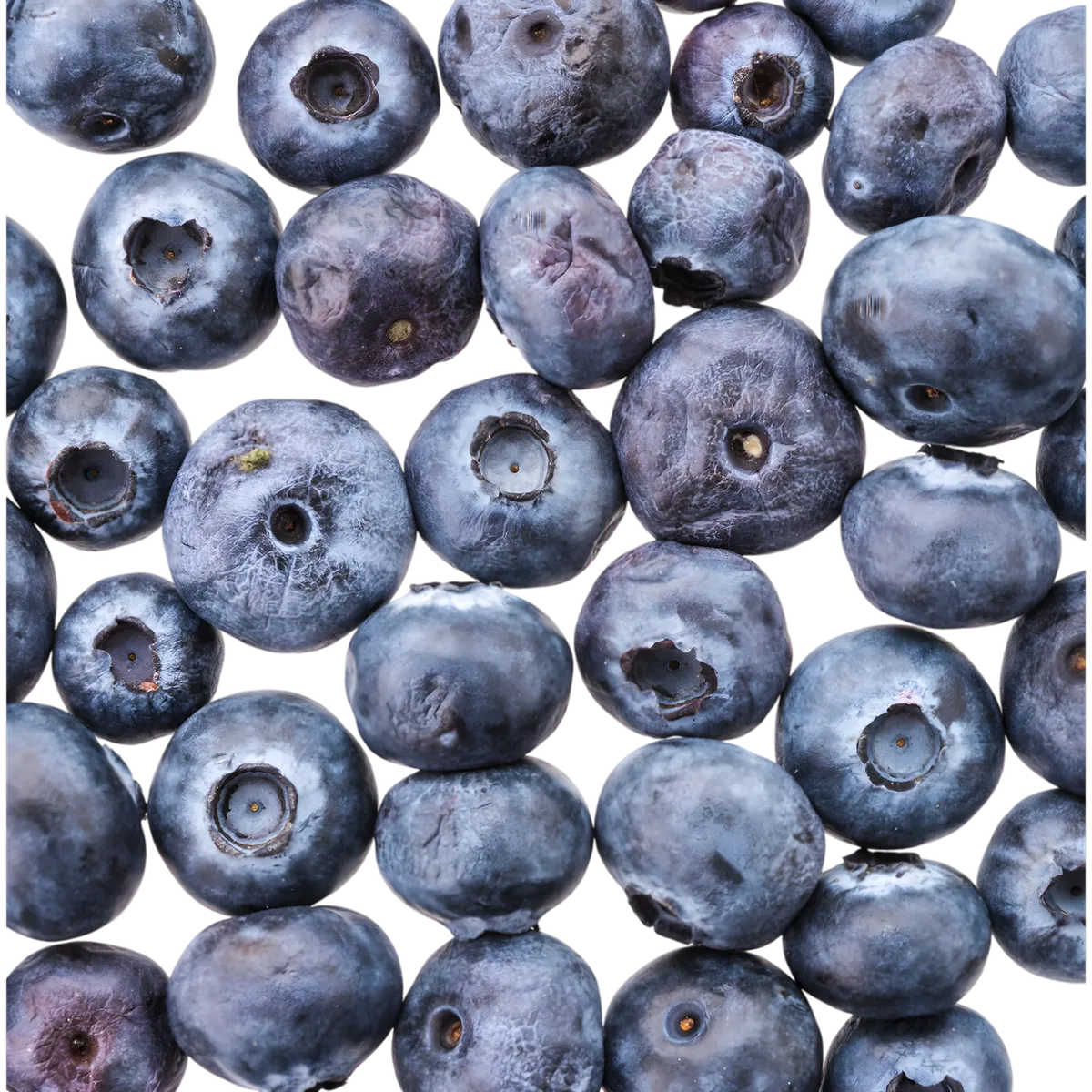 Gros plan de myrtilles fraîches, ingrédient naturel souvent associé aux boissons fruitées. Texture juteuse et couleur bleu-violet intense.