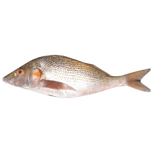 Sompatte - POISSON - NKOSI, poisson surgelé entier à chair tendre, idéal pour grillades ou plats en sauce. Produit de la mer frais et congelé.