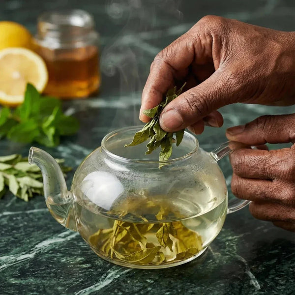 Verveine SAMIA : mains plongeant des feuilles dans une théière en verre.