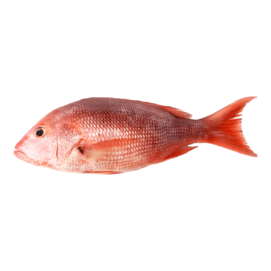 Vivaneau